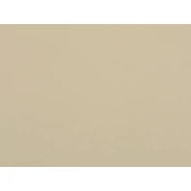 Koža Ambasádor pre lietadlá