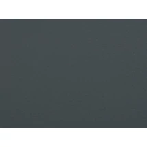Koža Ambasádor pre lietadlá