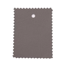 BMW Bison Silbergrau