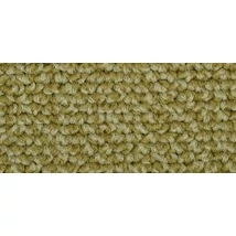Slučkový koberček do auta (DB 2 Ton)